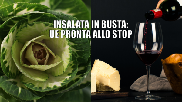 insalata in busta