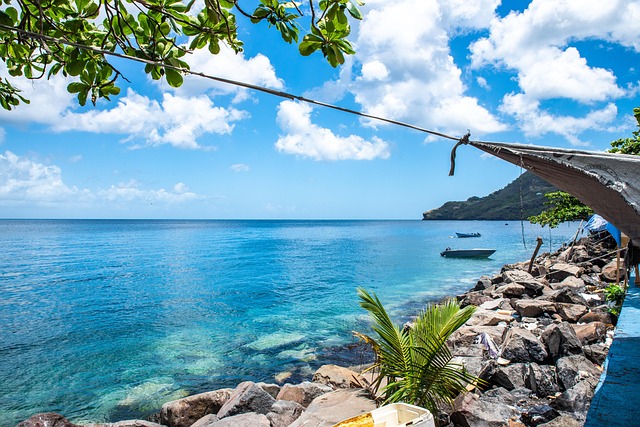 st-vincent-and-the-grenadines-